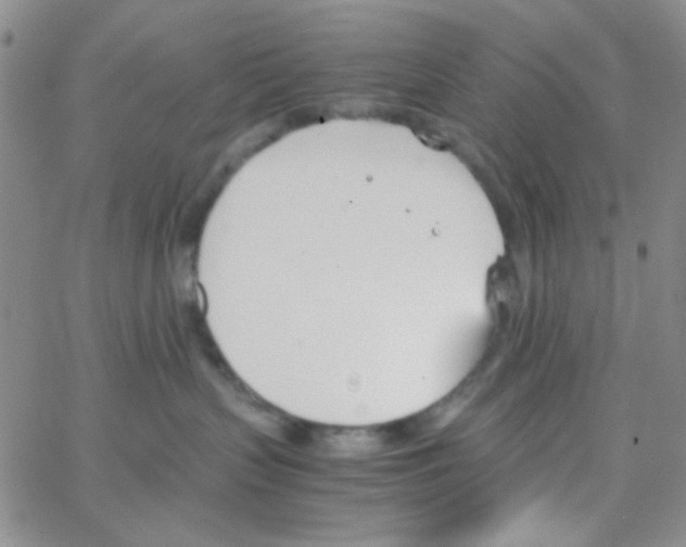 X0000064730383200603131259