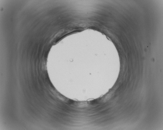 X0000064730384200603131259