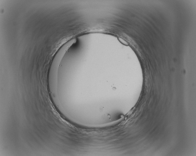 X0000064730385200603131258