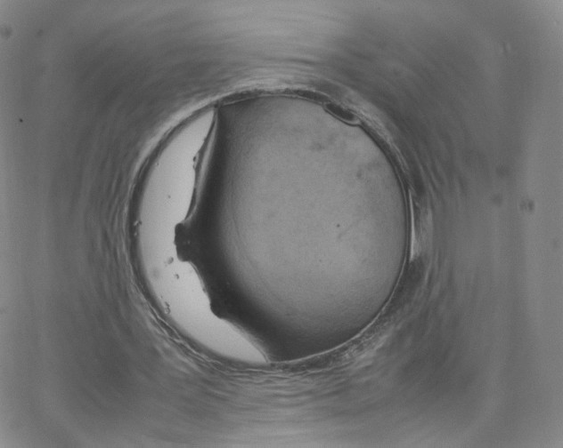 X0000064730387200603131258