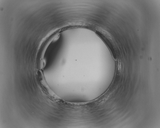 X0000064730388200603131258