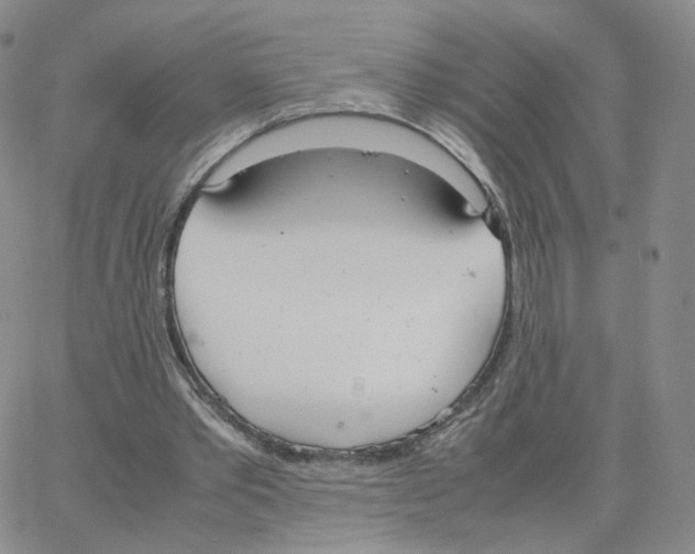 X0000064730389200603131258