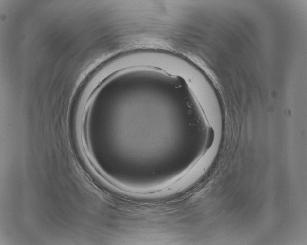 X0000064730391200603131258