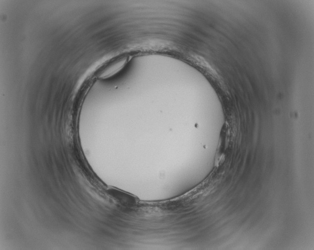 X0000064730392200603131258