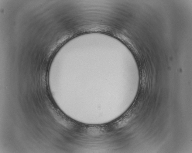 X0000064730394200603131258