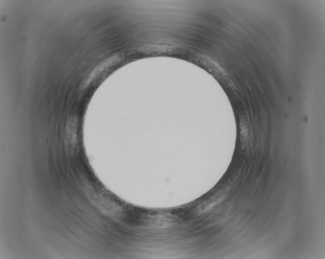 X0000064730396200603131258