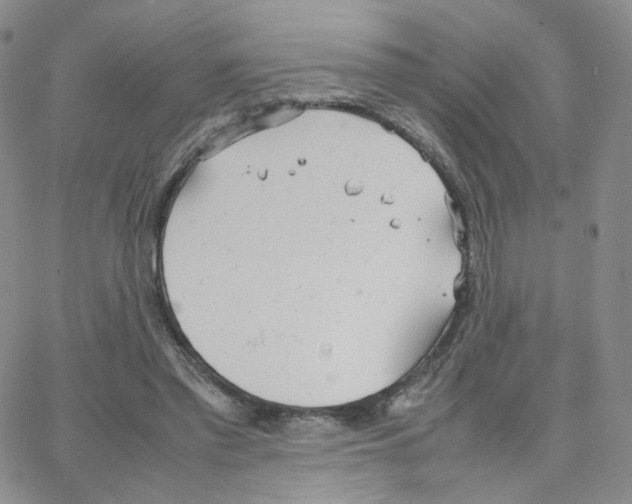 X0000064730397200603131258