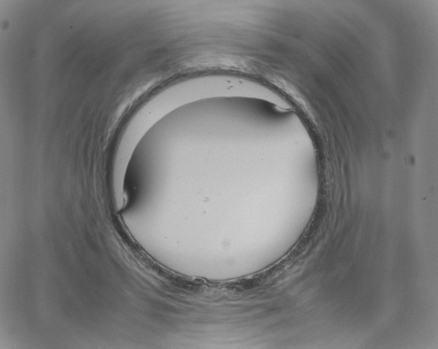 X0000064730399200603131258