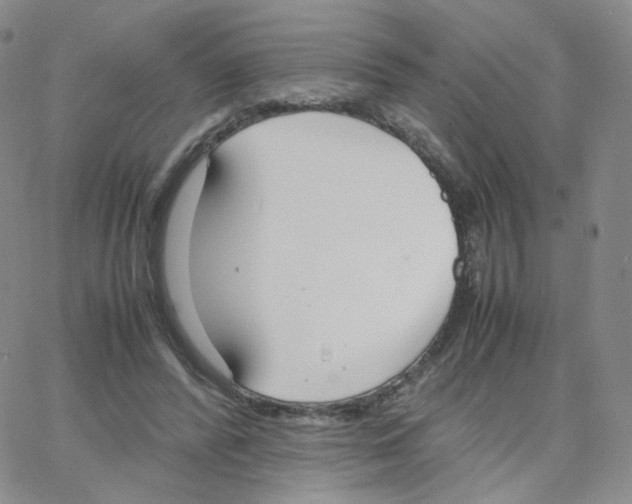 X0000064730400200603131258