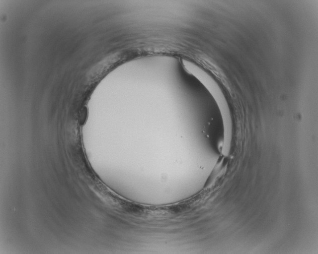 X0000064730401200603131258