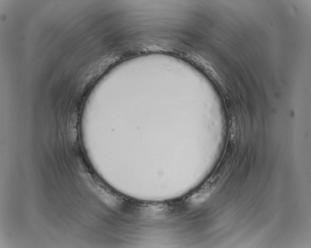 X0000064730402200603131258