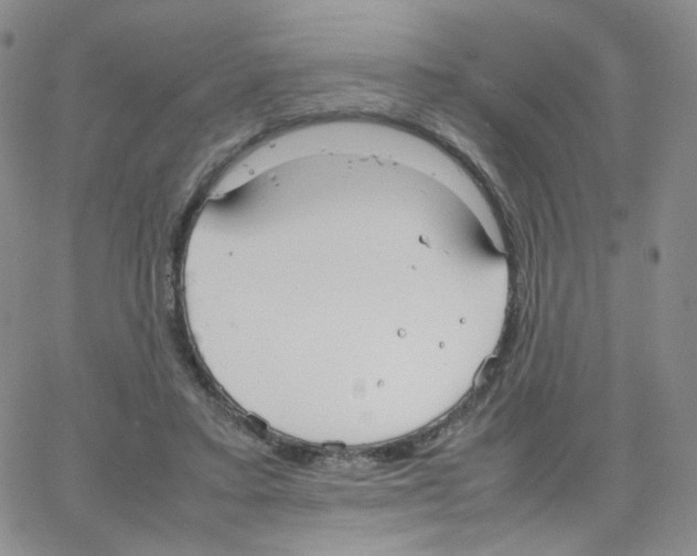 X0000064730403200603131258