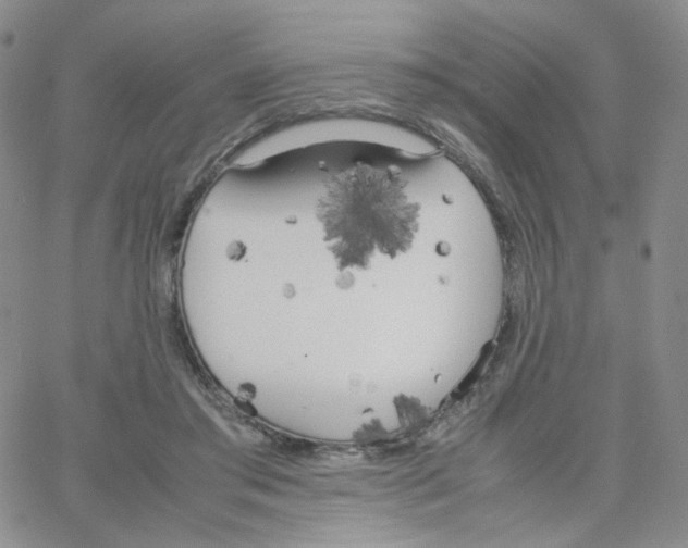 X0000064730405200603131258