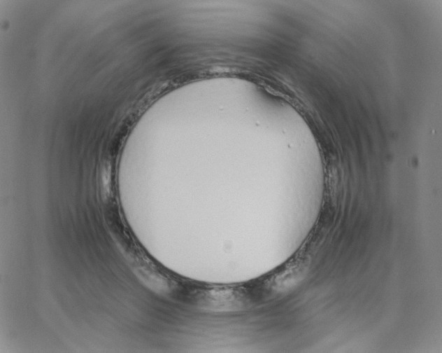 X0000064730406200603131258