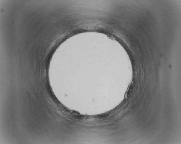 X0000064730407200603131258