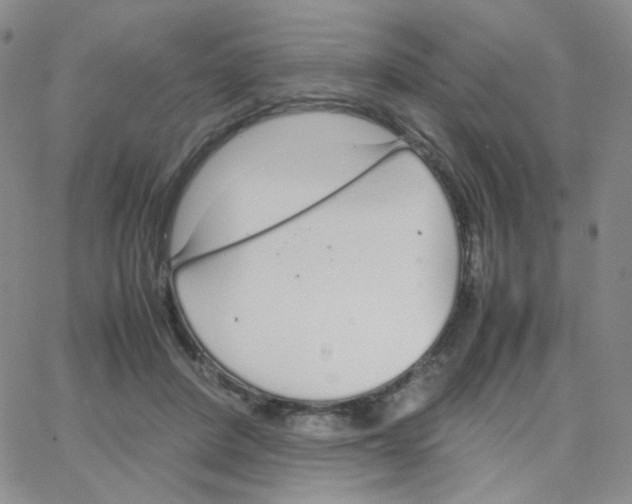 X0000064730408200603131258