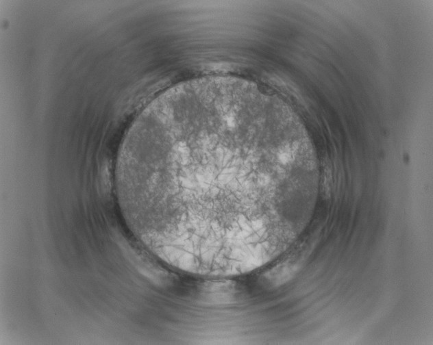 X0000064730410200603131258