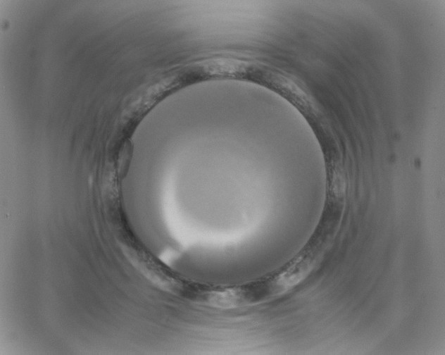 X0000064730411200603131258