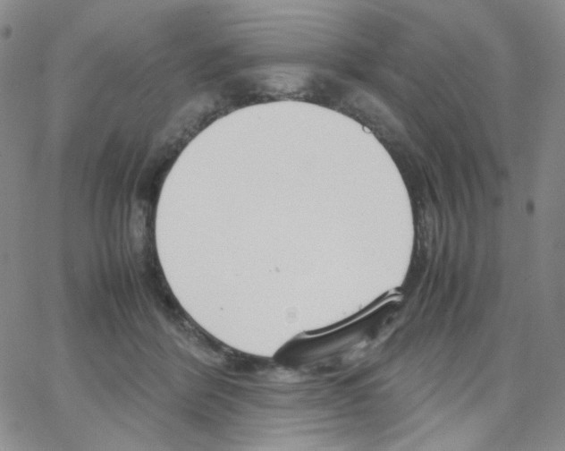 X0000064730412200603131258