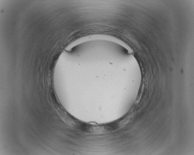 X0000064730413200603131258