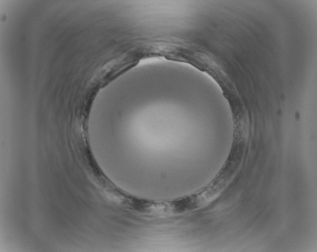 X0000064730415200603131258