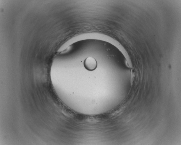 X0000064730416200603131258