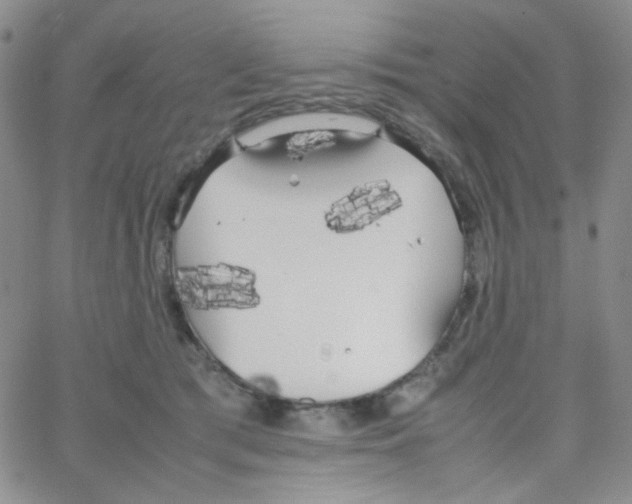 X0000064730417200603131258