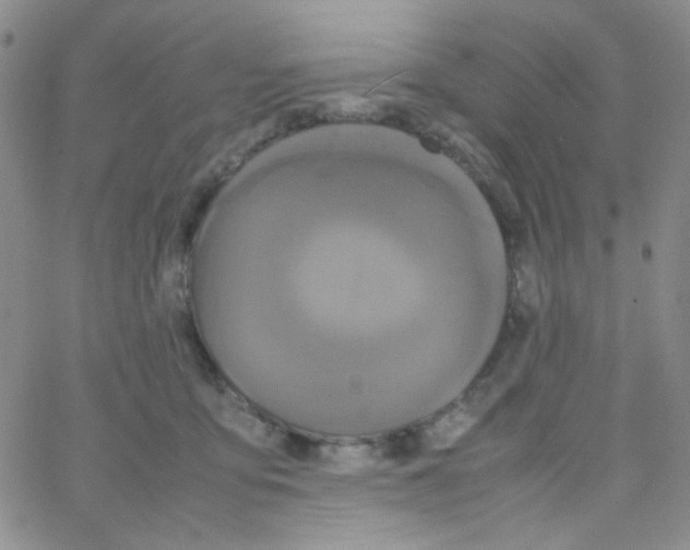 X0000064730419200603131258