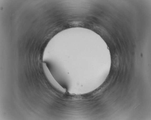 X0000064730420200603131258