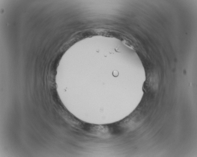 X0000064730421200603131258