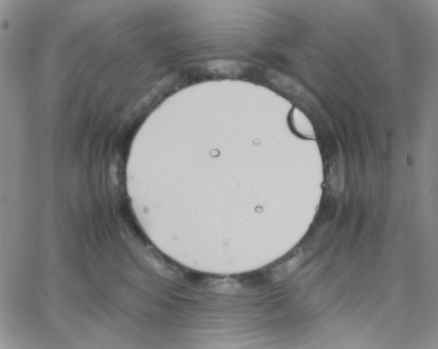 X0000064730424200603131258