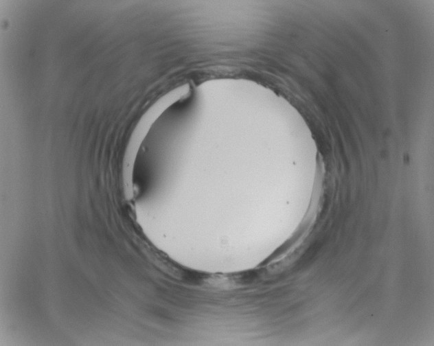 X0000064730425200603131258