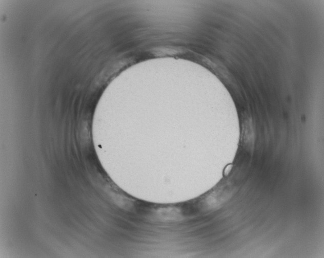 X0000064730426200603131258