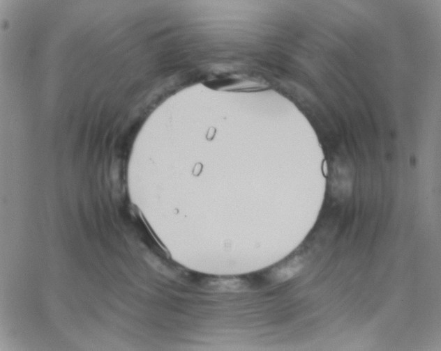 X0000064730428200603131258