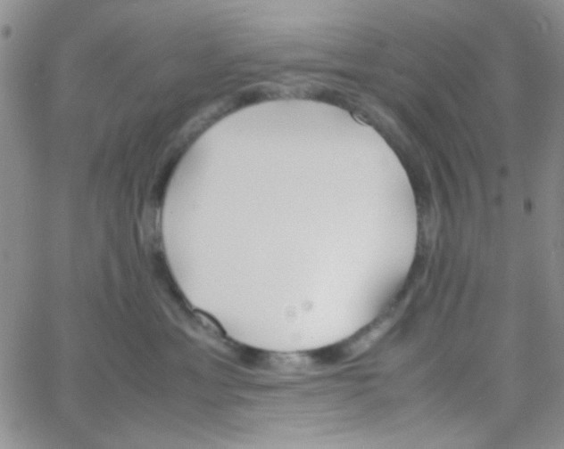 X0000064730429200603131258