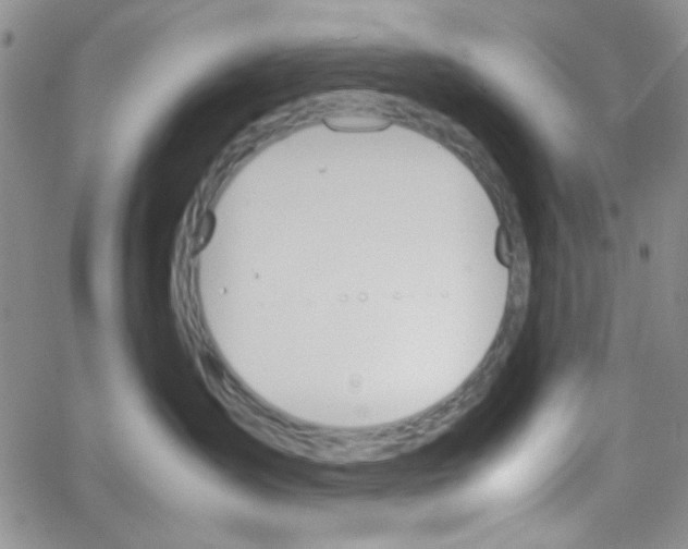 X0000064730431200603131258