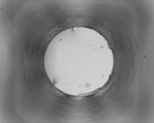 X0000064730432200603131258