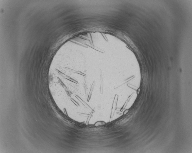 X0000064730433200603131257