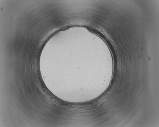 X0000064730434200603131257