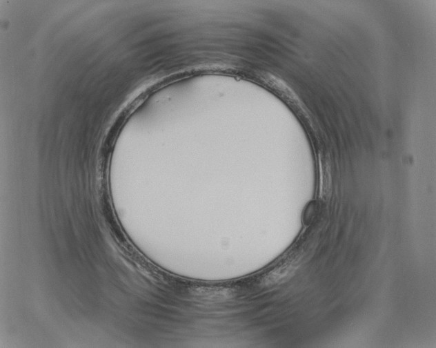 X0000064730435200603131257