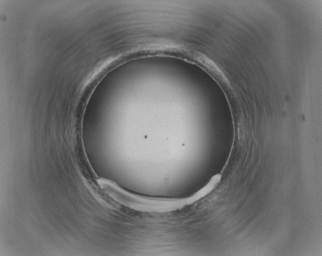 X0000064730436200603131257