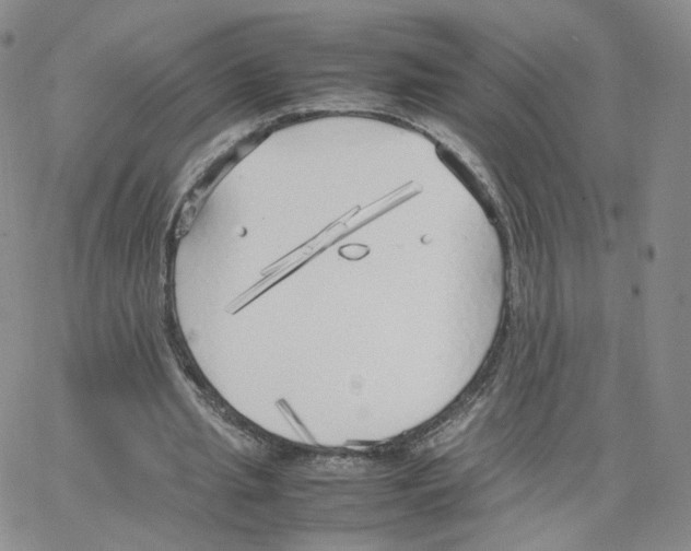 X0000064730437200603131257