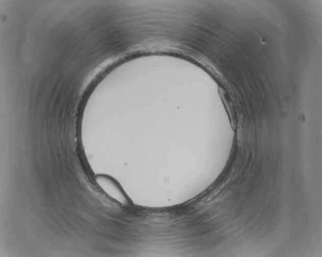 X0000064730438200603131257