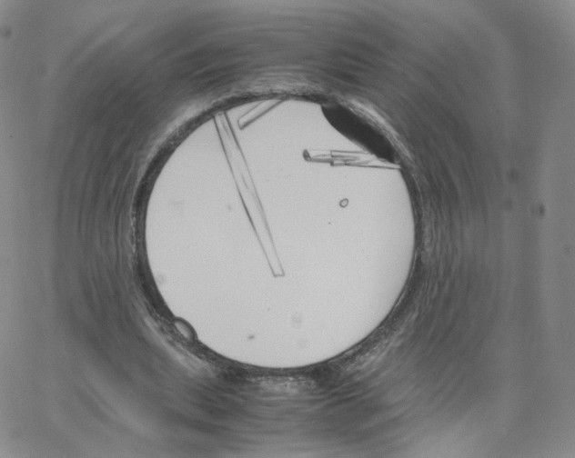 X0000064730439200603131257