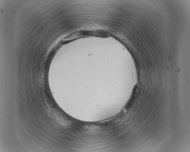 X0000064730440200603131257