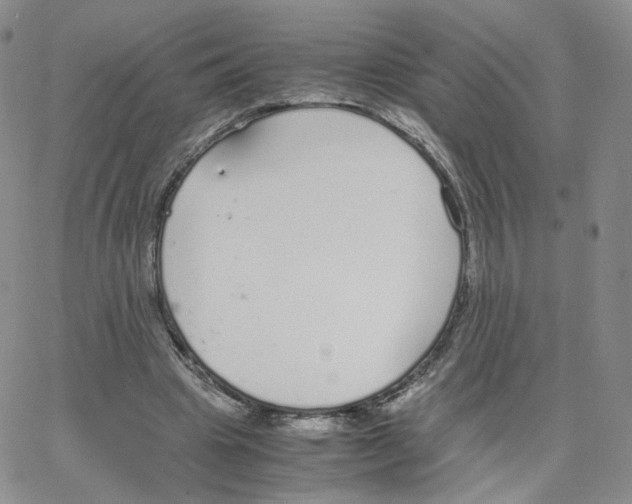 X0000064730441200603131257