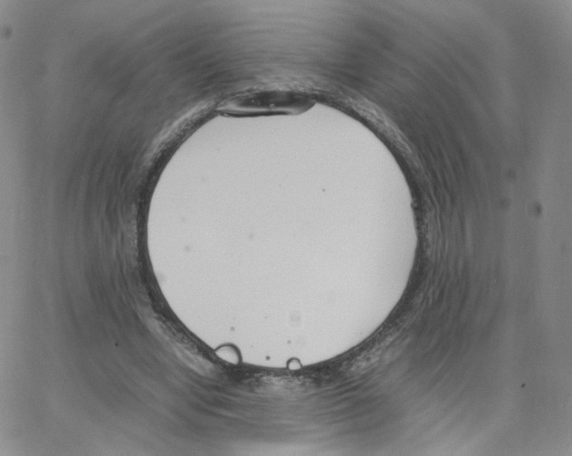 X0000064730442200603131257