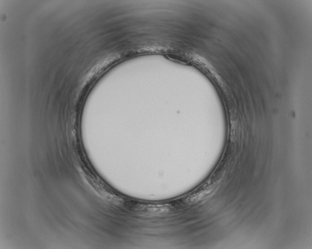 X0000064730443200603131257