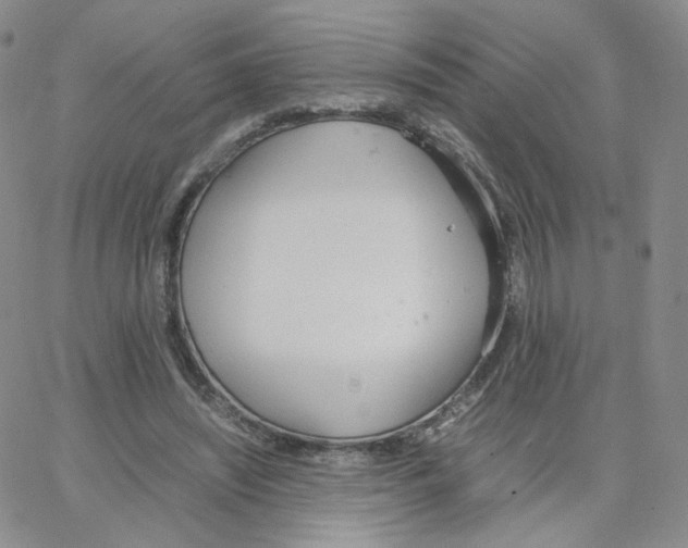 X0000064730444200603131257