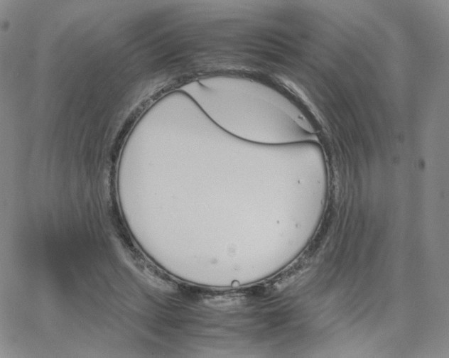 X0000064730447200603131257